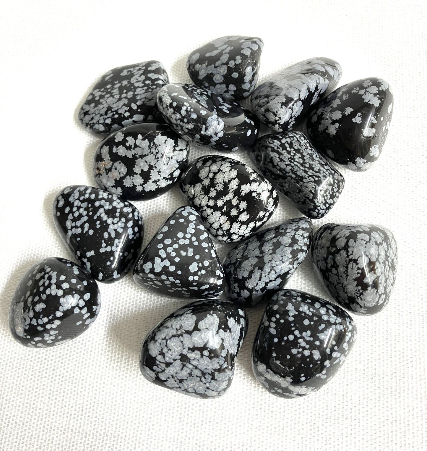 Snowflake Obsidian Tumbled Stone (#113)