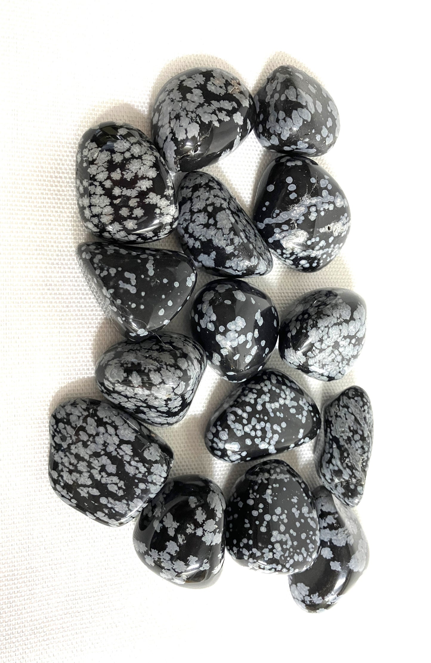 Snowflake Obsidian Tumbled Stone (#113)