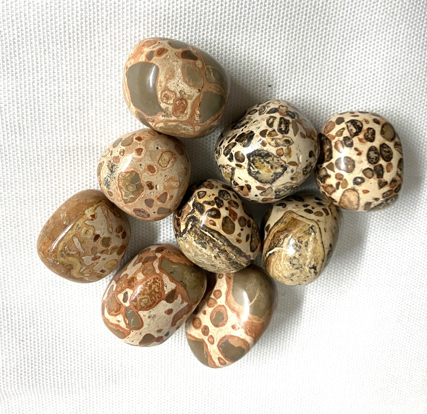 Leopardite Tumbled Stone (#128)