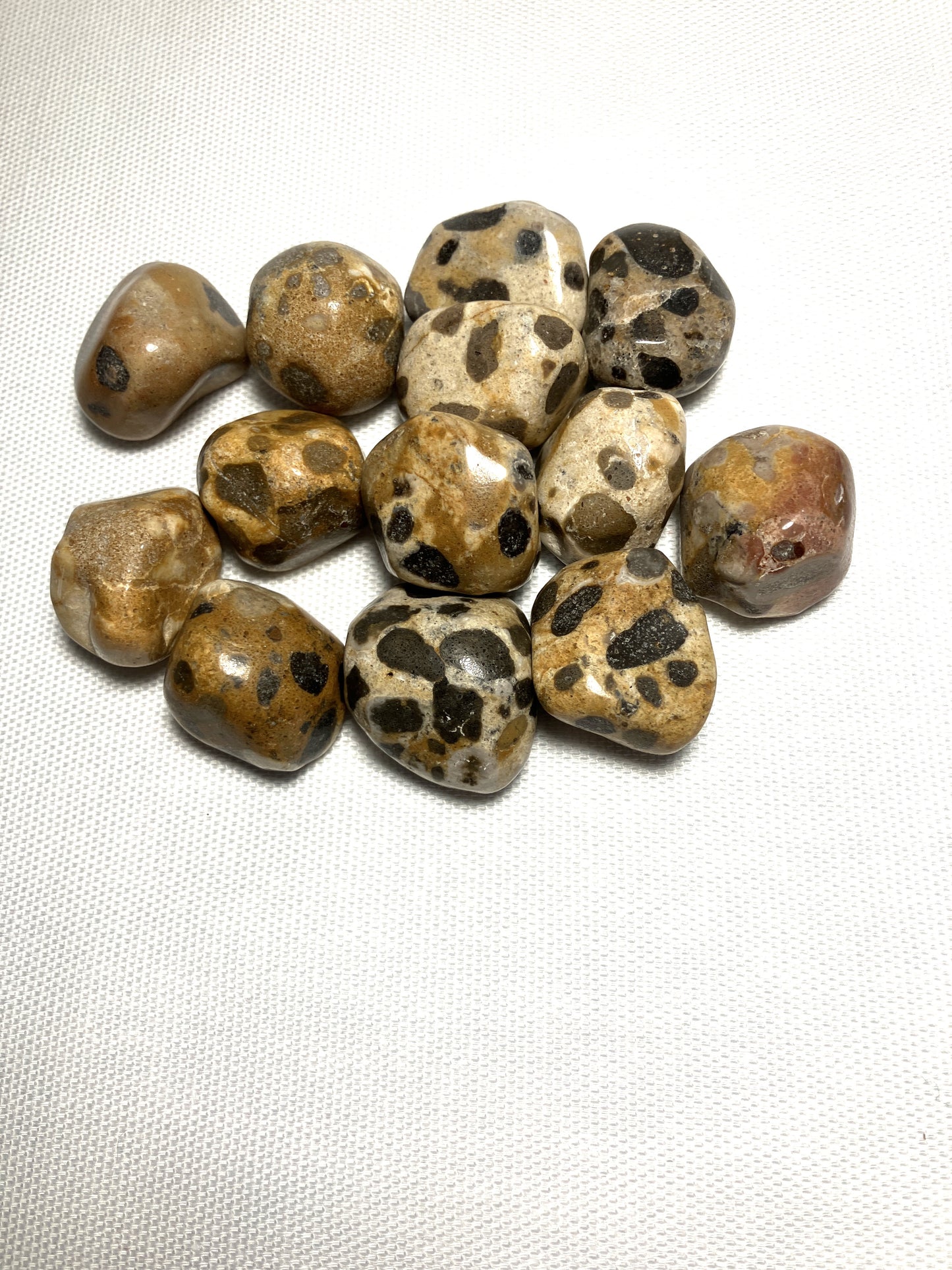 Leopardskin Jasper (#12) AKA Jaguar Stone