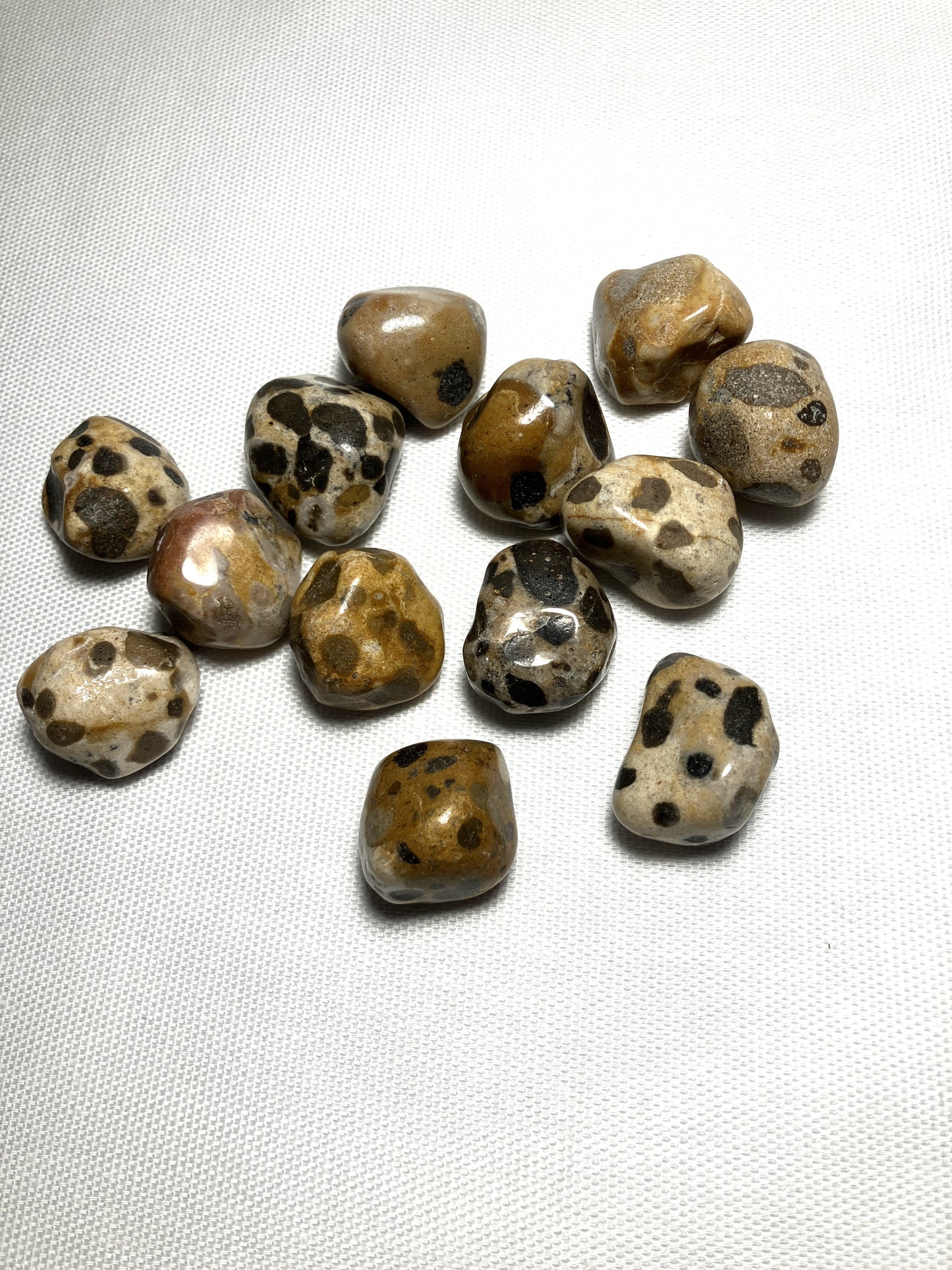 Leopardskin Jasper (#12) AKA Jaguar Stone