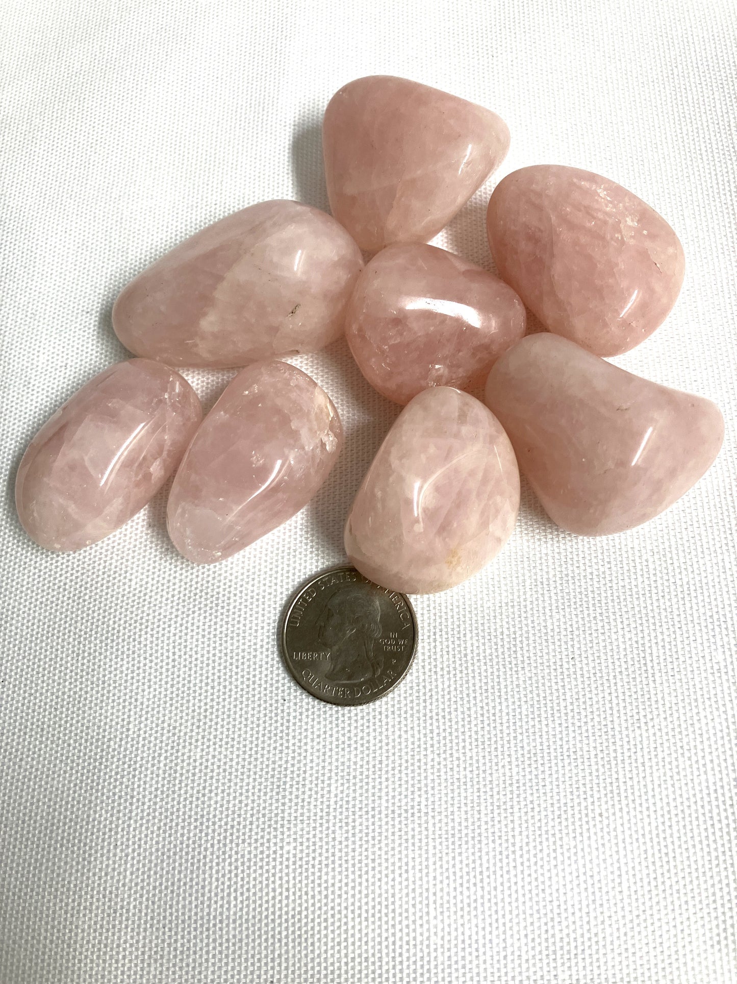 Rose Quartz Tumbled Stones (#15)