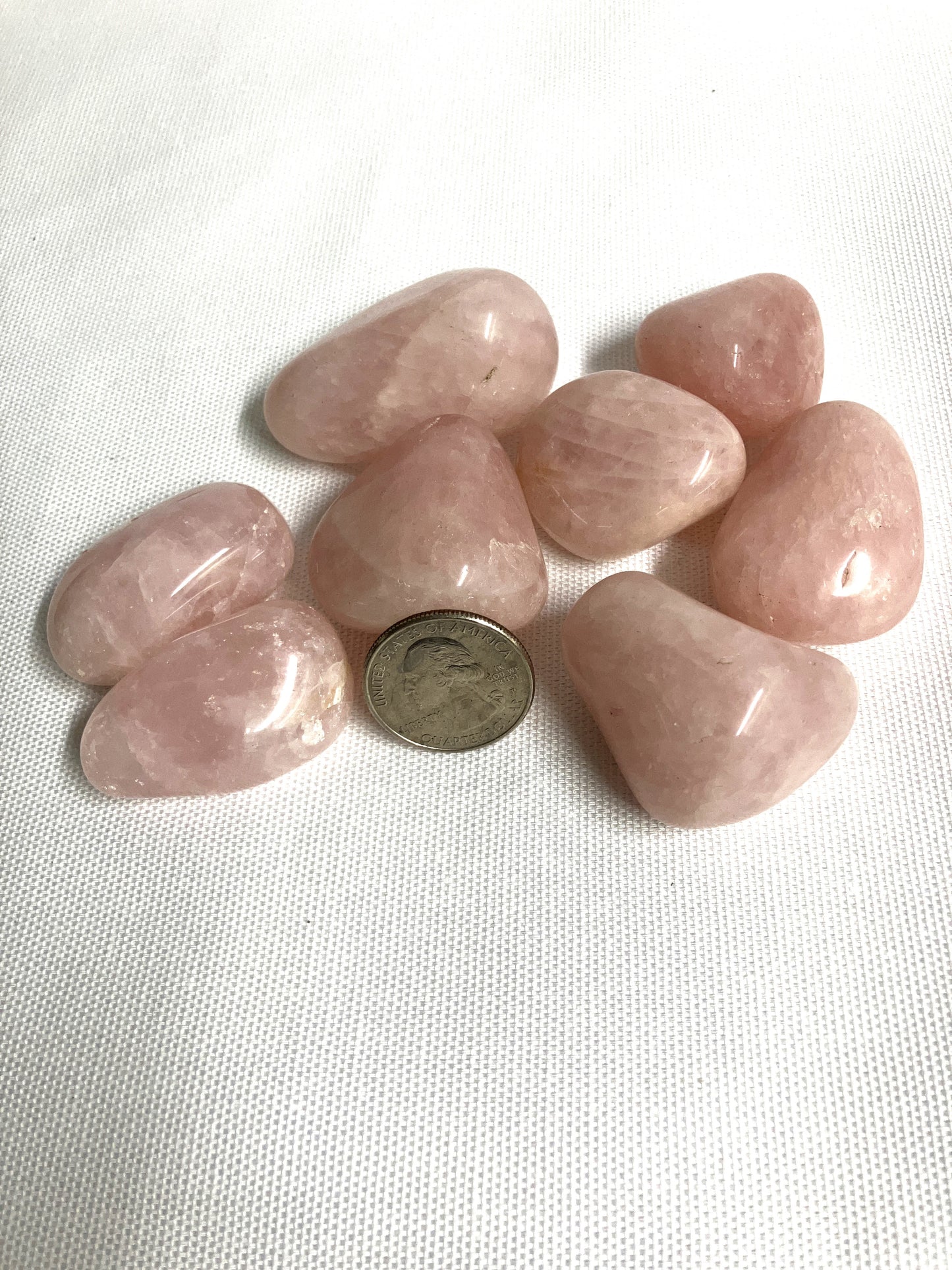 Rose Quartz Tumbled Stones (#15)