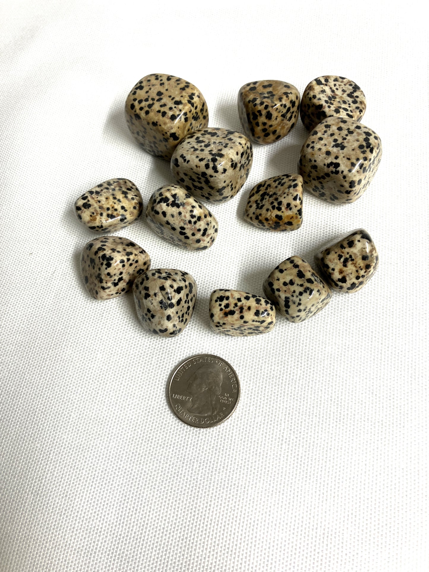 Dalmatian Jasper Tumbled Stone (#26)