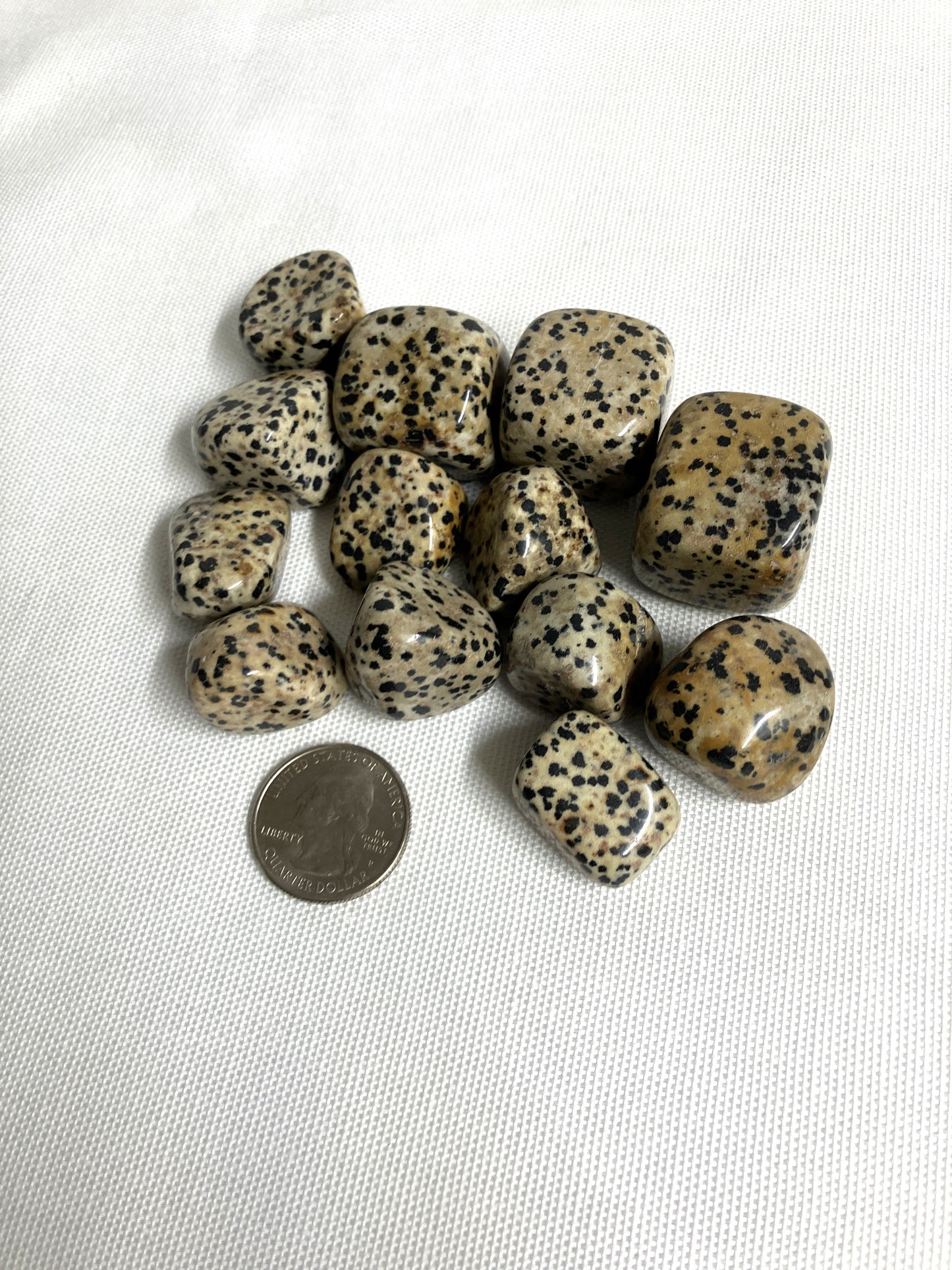 Dalmatian Jasper Tumbled Stone (#26)