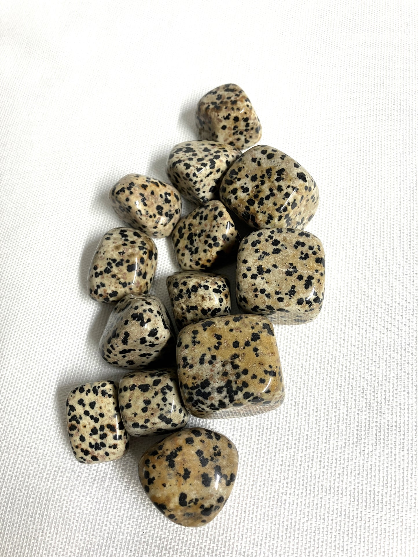 Dalmatian Jasper Tumbled Stone (#26)