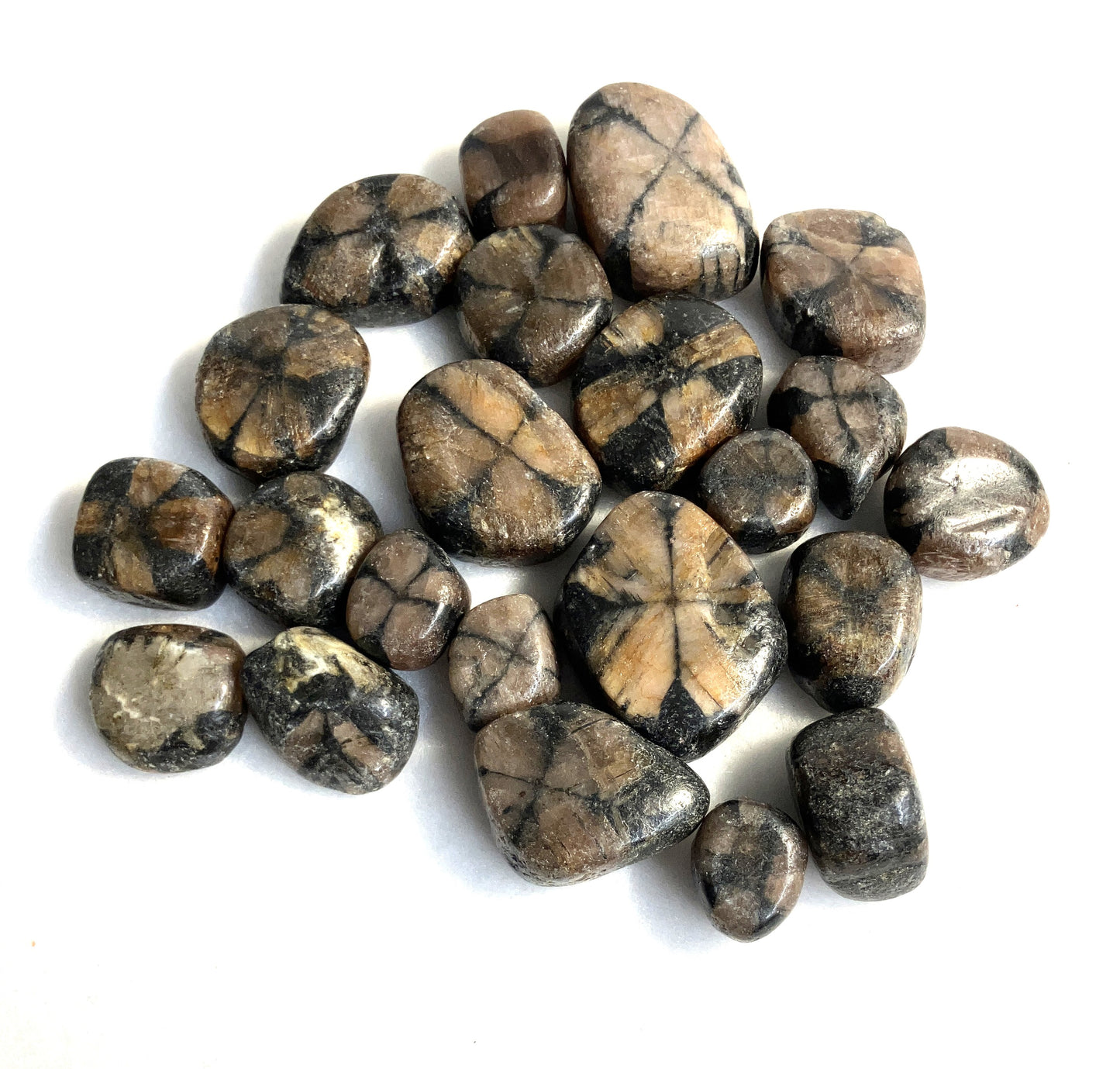 Chiastolite Tumbled Stone (#32)