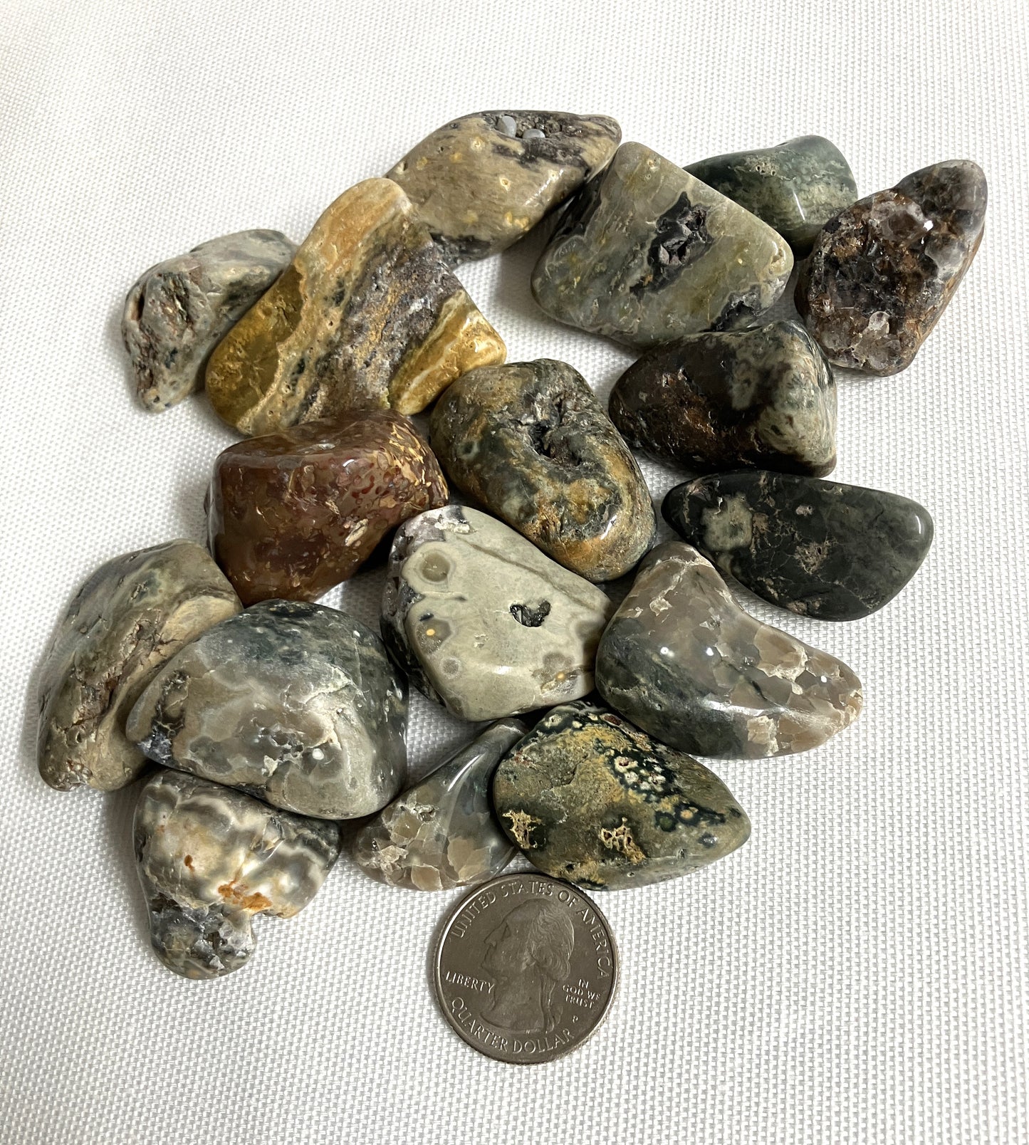 Ocean Jasper Tumbled Stones (#78)