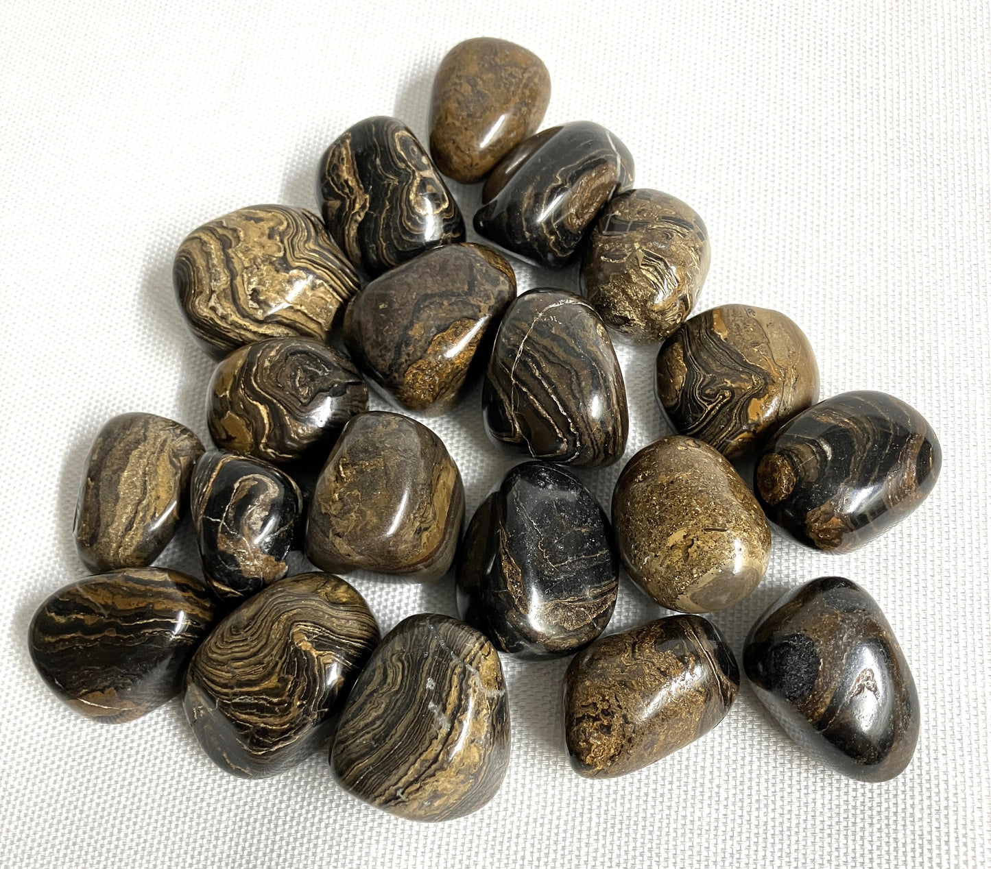 Stromatolite Tumbled Stones (#79)