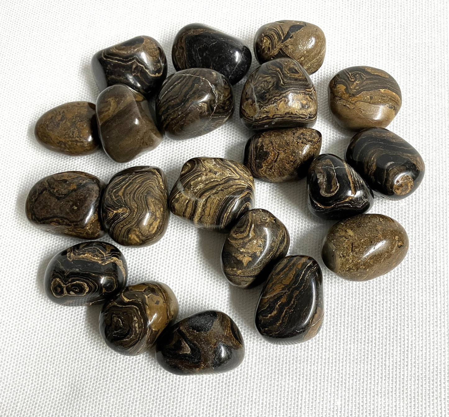 Stromatolite Tumbled Stones (#79)