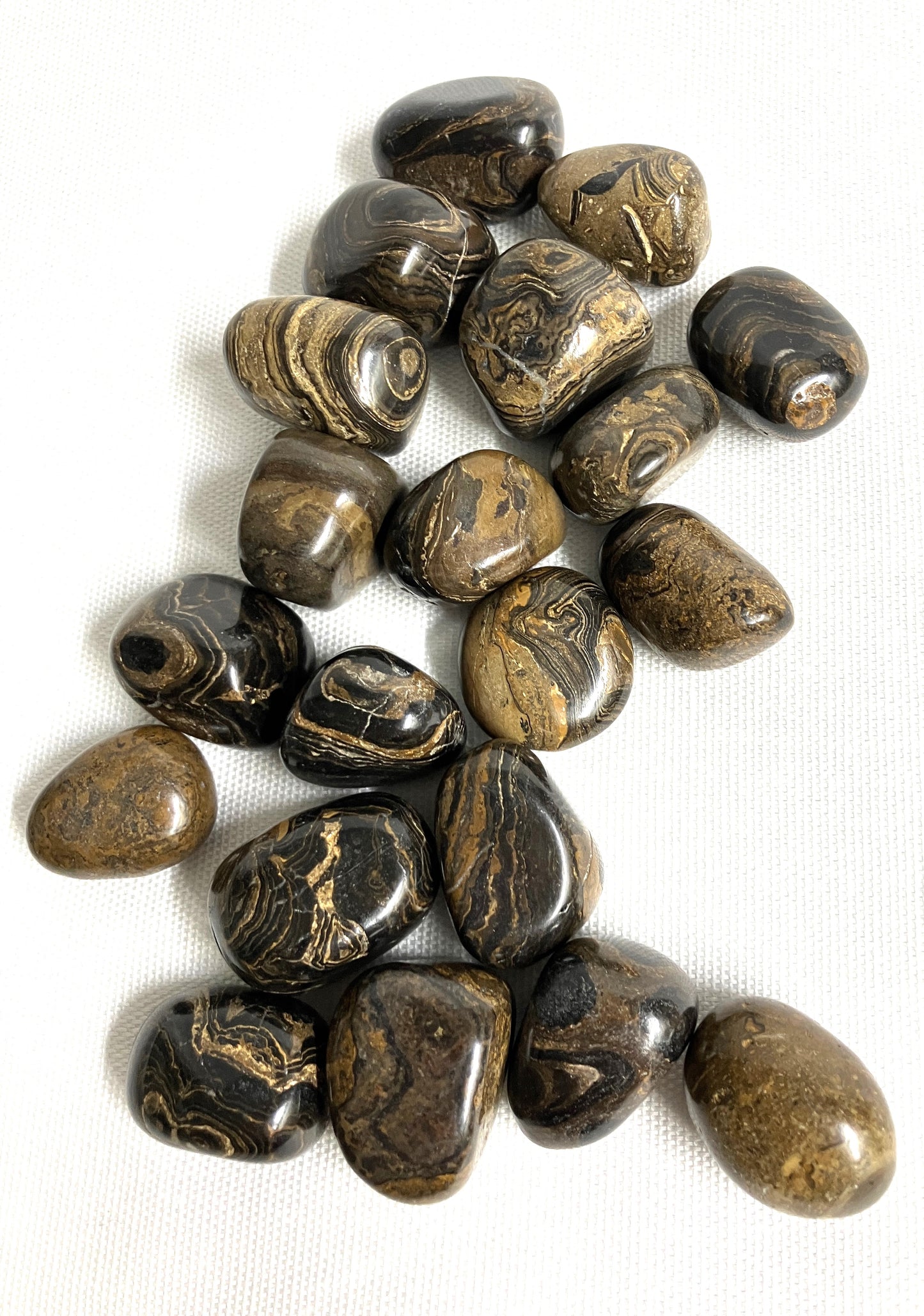 Stromatolite Tumbled Stones (#79)