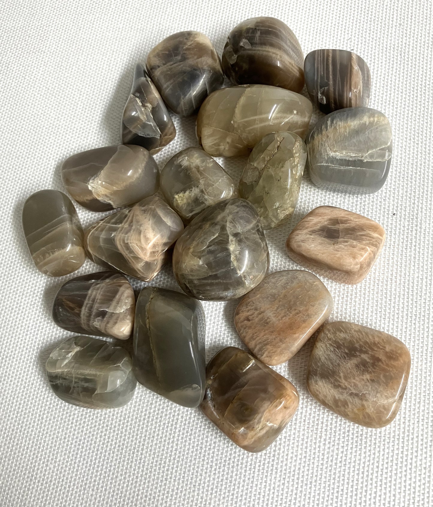 Tumbled Black Moonstone (#97)