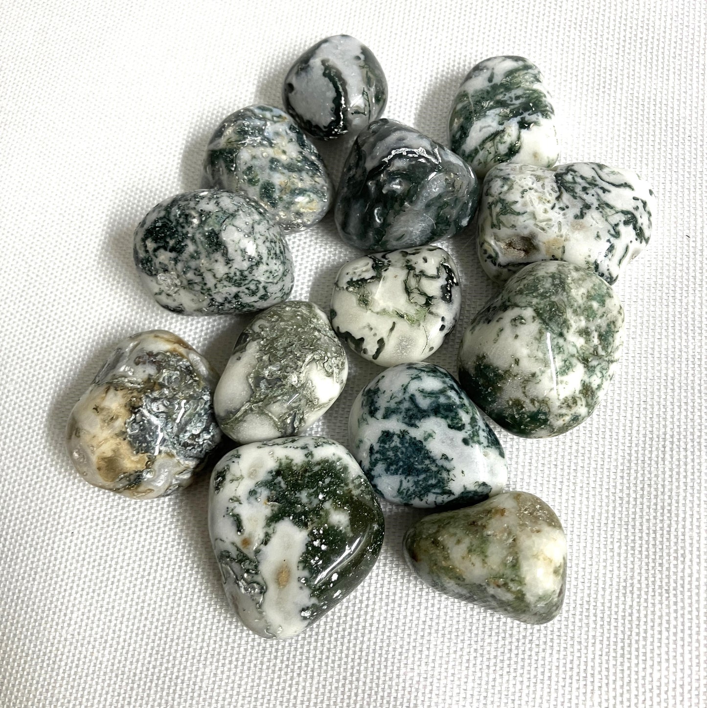 Tree Agate Tumbled Stone (#98)