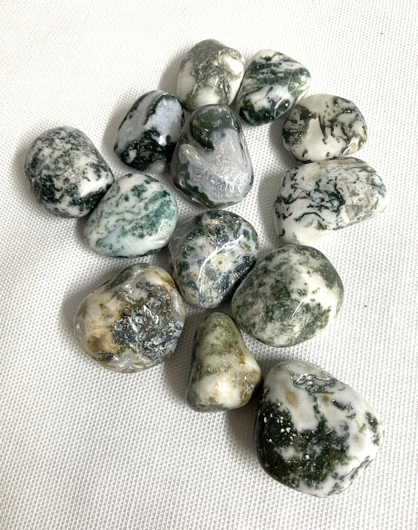 Tree Agate Tumbled Stone (#98)