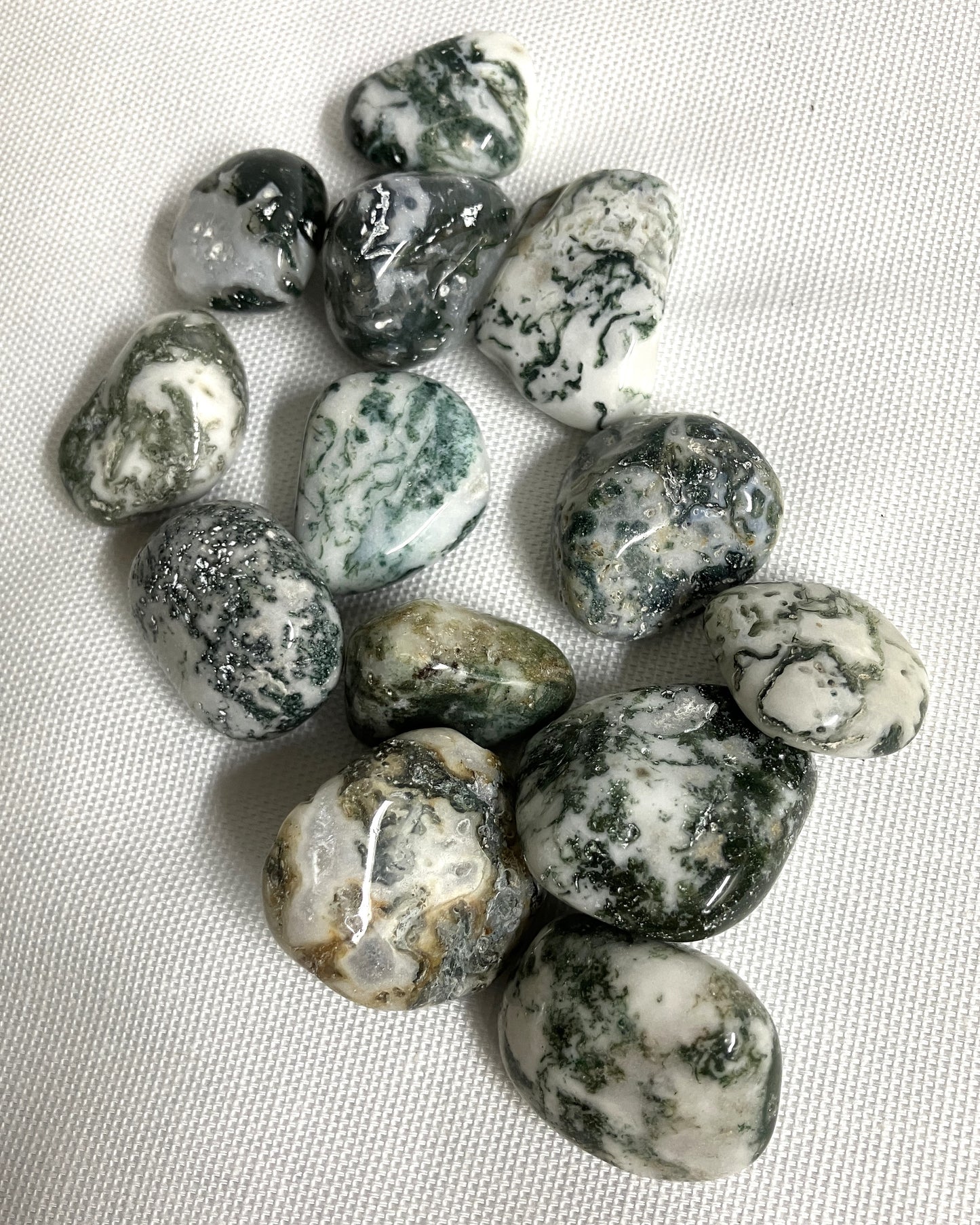 Tree Agate Tumbled Stone (#98)