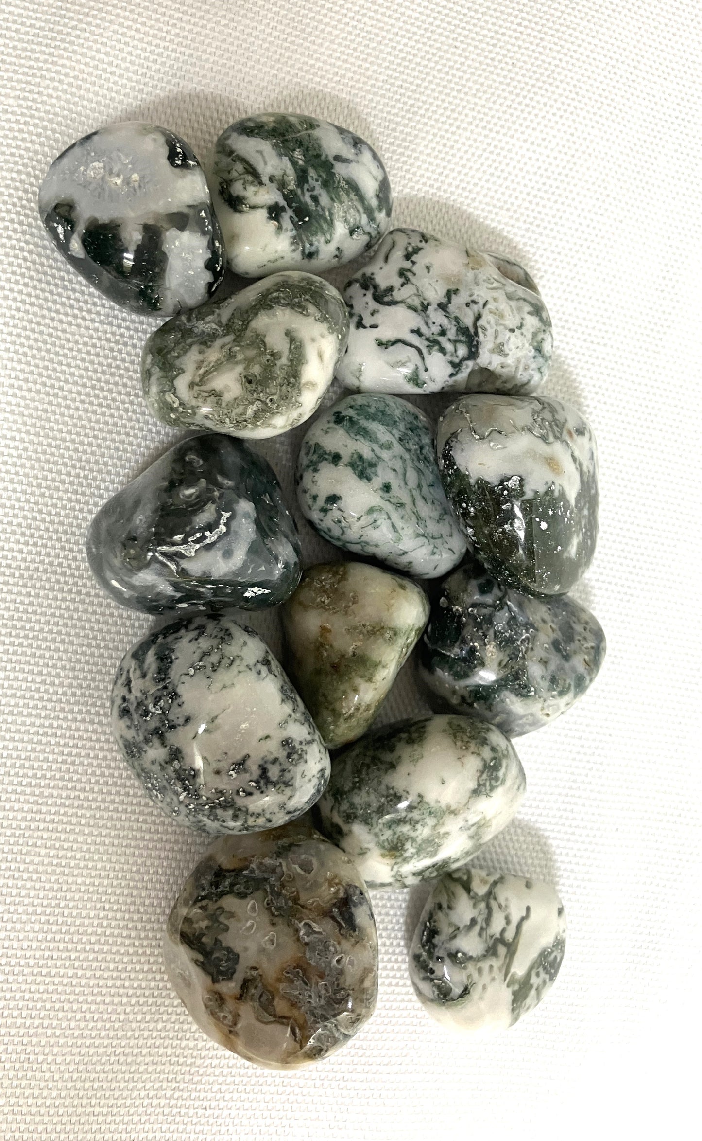 Tree Agate Tumbled Stone (#98)