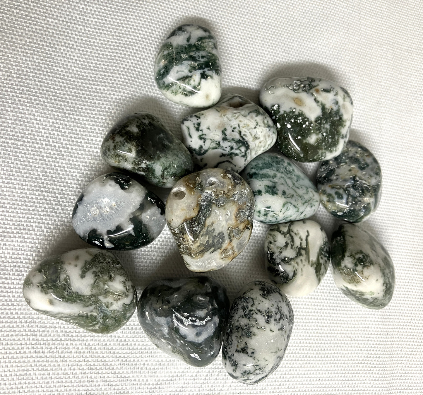 Tree Agate Tumbled Stone (#98)