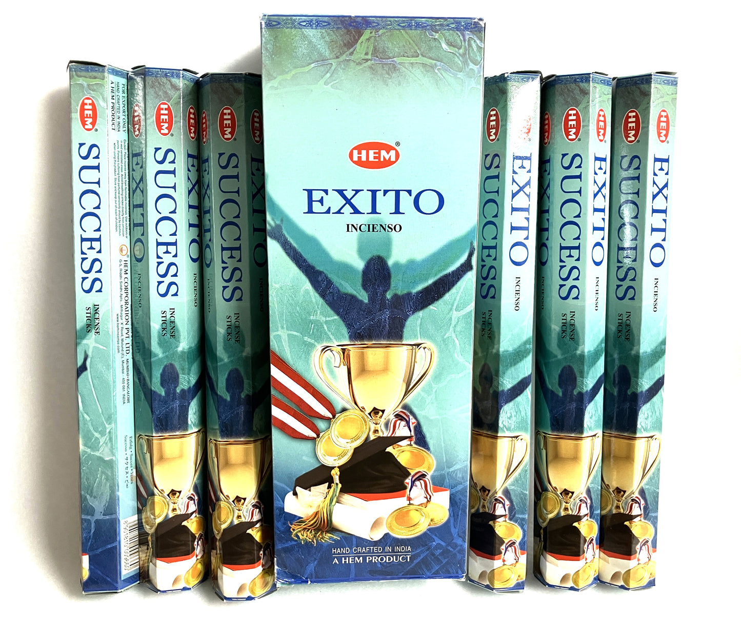 HEM Success Stick Incense