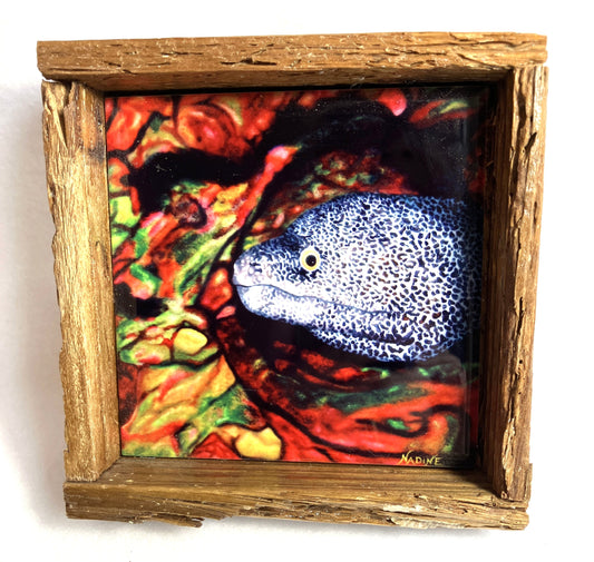 Lobster Trap Art  That's A Moray