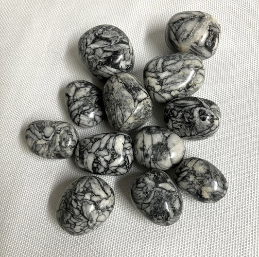 Pinolith Jasper Tumbled Stones (#107)