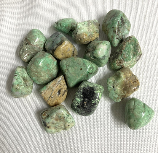 Variscite Tumbled  Stone (#114