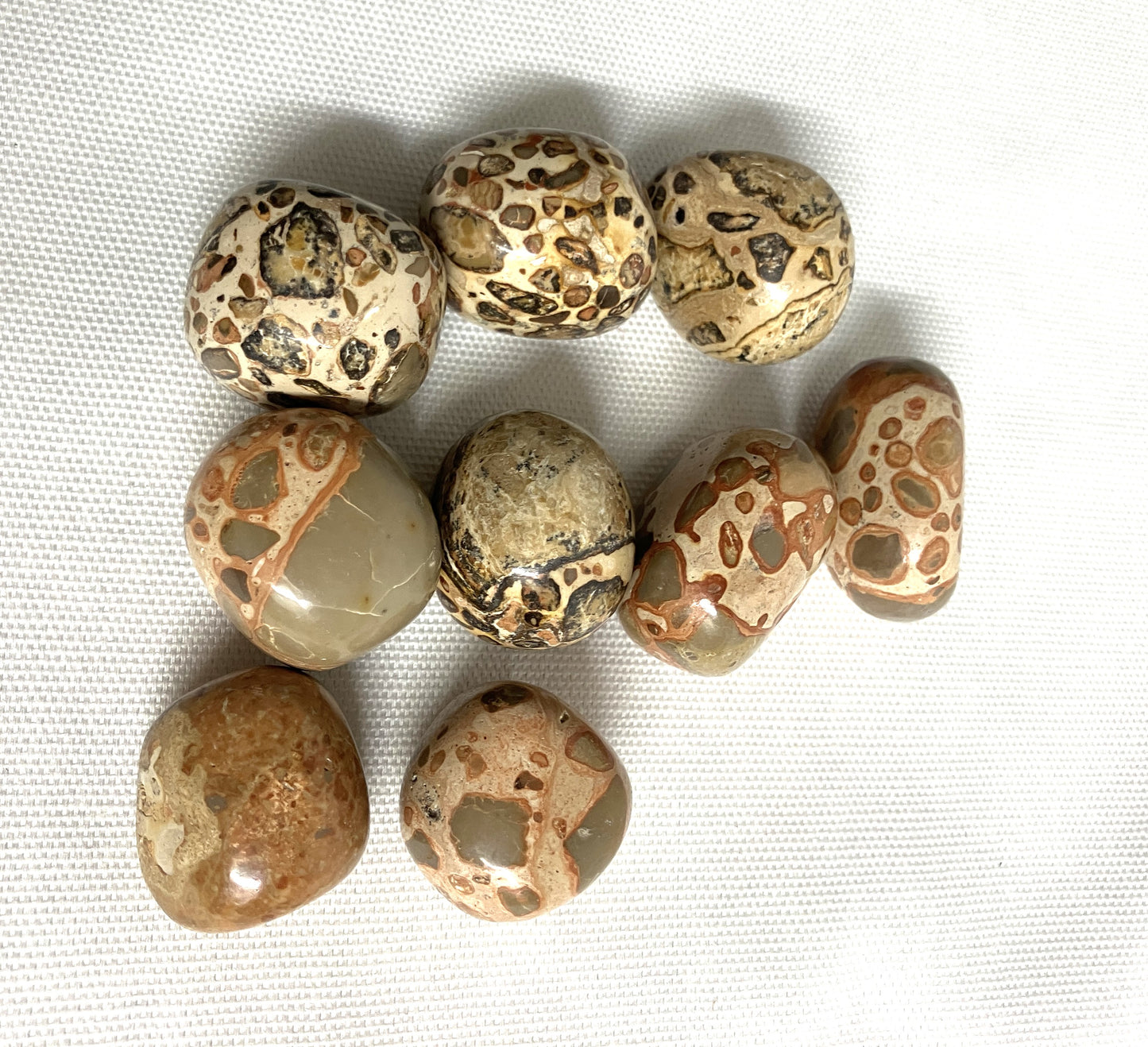 Leopardite Tumbled Stone  (#128)