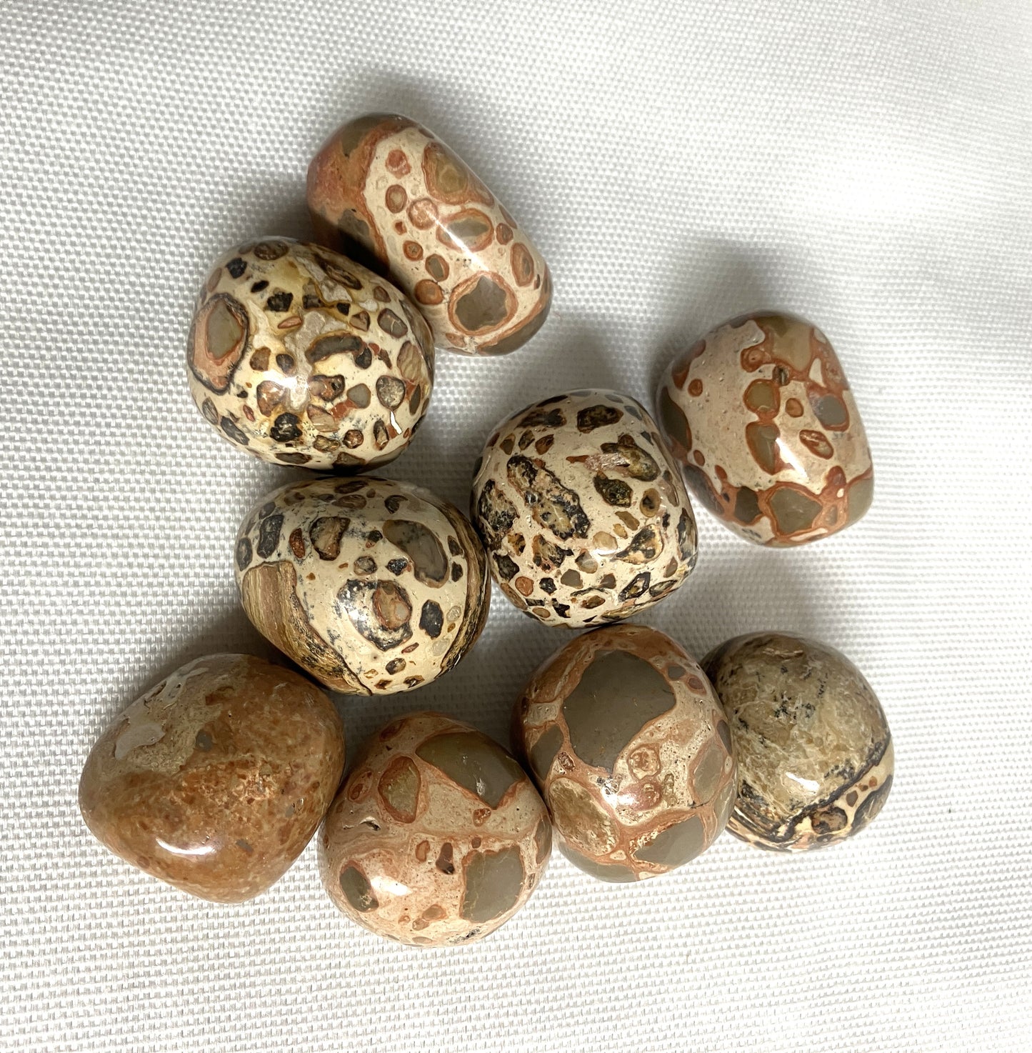 Leopardite Tumbled Stone  (#128)