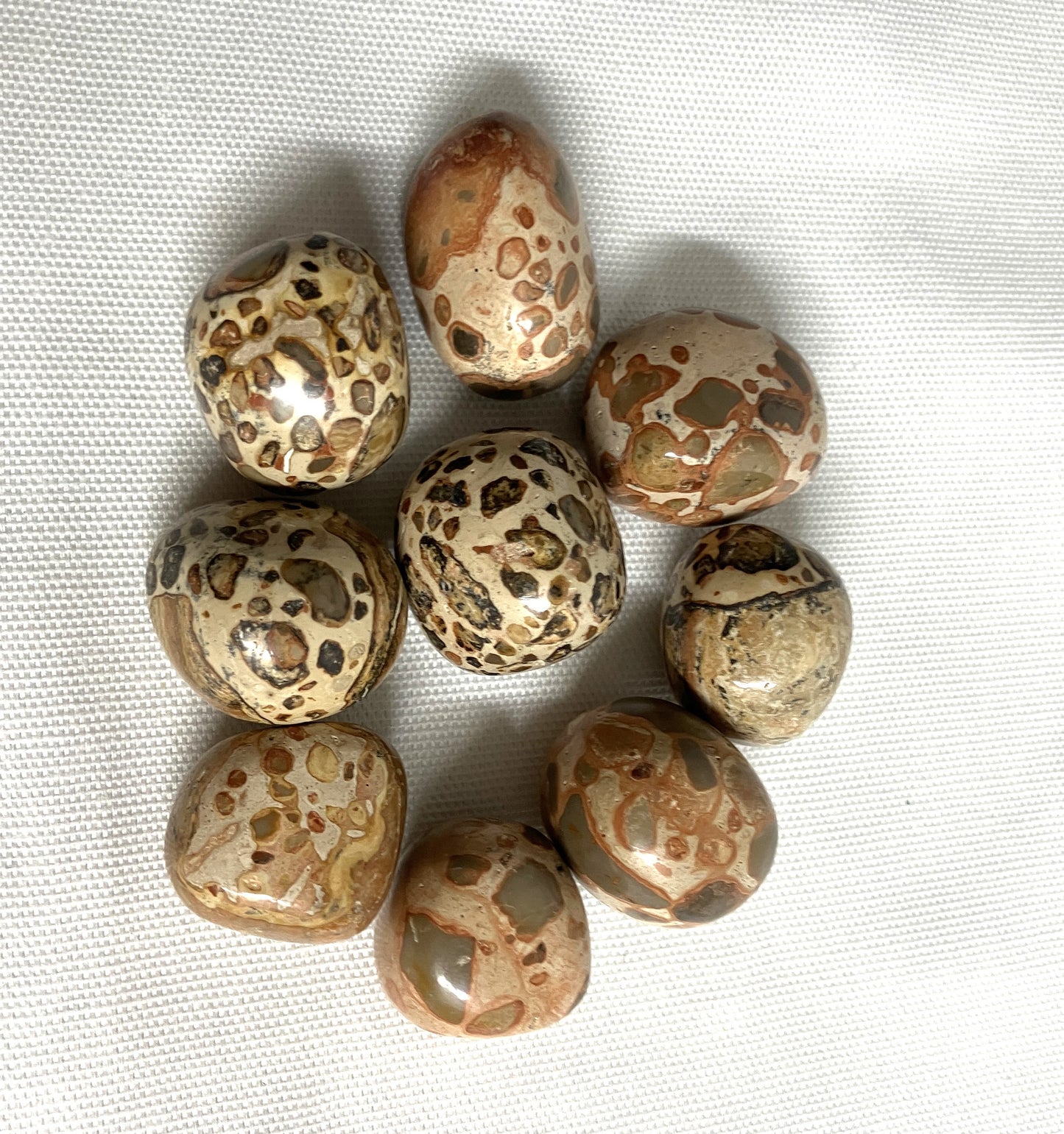 Leopardite Tumbled Stone  (#128)