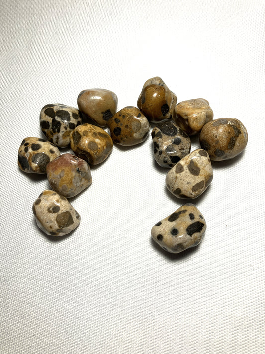 Leopardskin Jasper (#12) AKA Jaguar Stone
