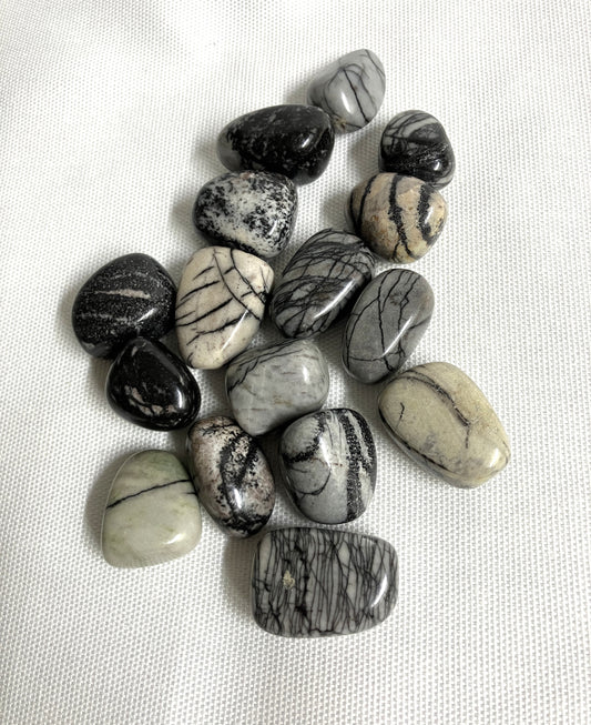 Spider Web Jasper Tumbled Stones (132)