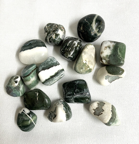 Green Sardonyx Tumbled Stones (#137)