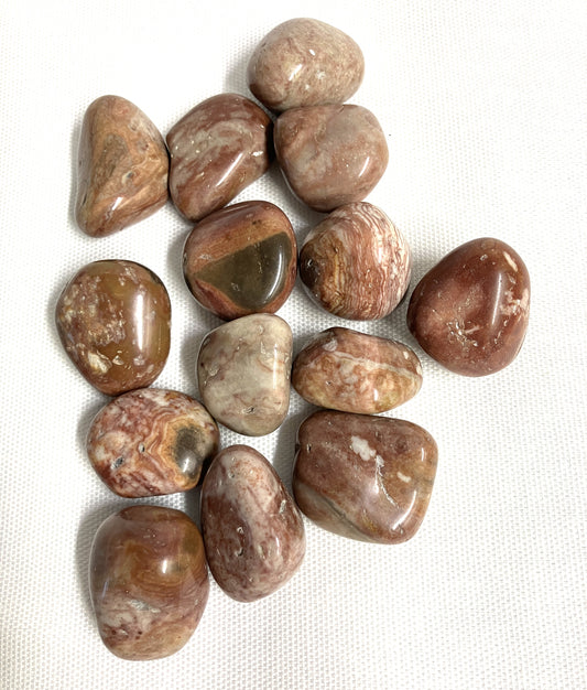 Crazy Lace Agate Tumbled Stones  (#154)
