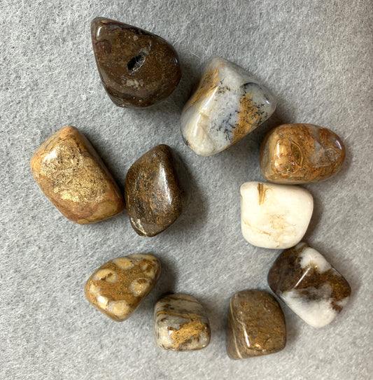 Tumbled Pietersite AKA The Tempest Stone (#168)