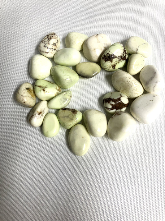 Lemon Chrysoprase Tumbled Stone (#20)