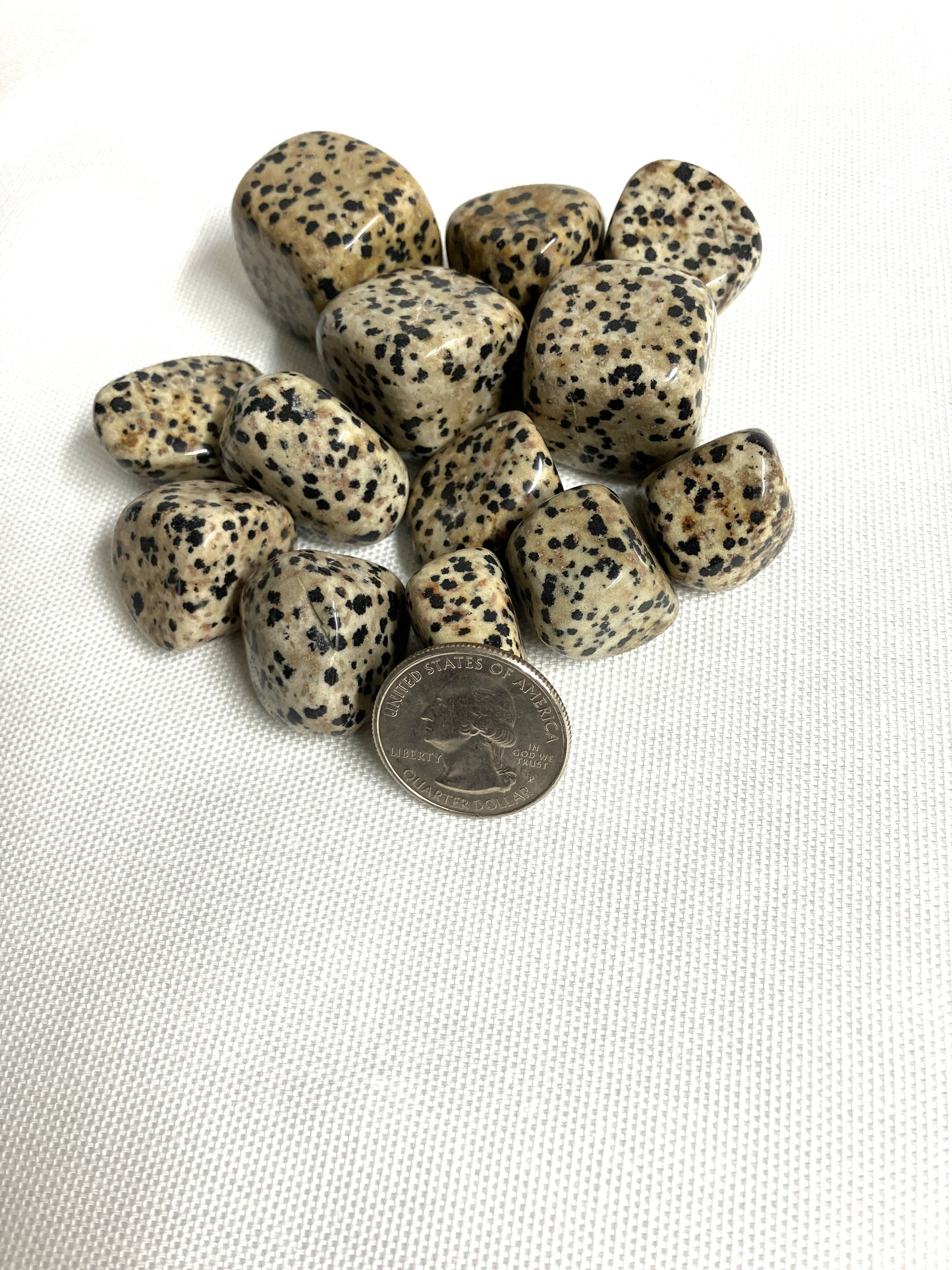 Dalmatian Jasper Tumbled Stone  (#26)