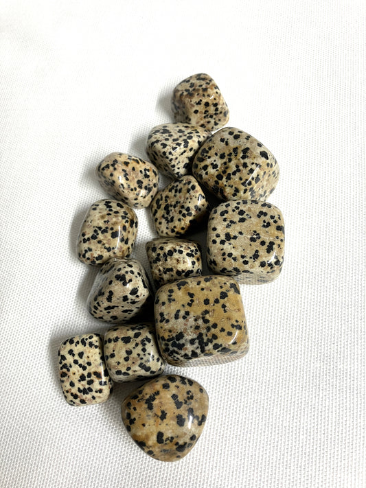 Dalmatian Jasper Tumbled Stone  (#26)