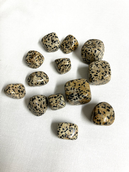 Dalmatian Jasper Tumbled Stone  (#26)