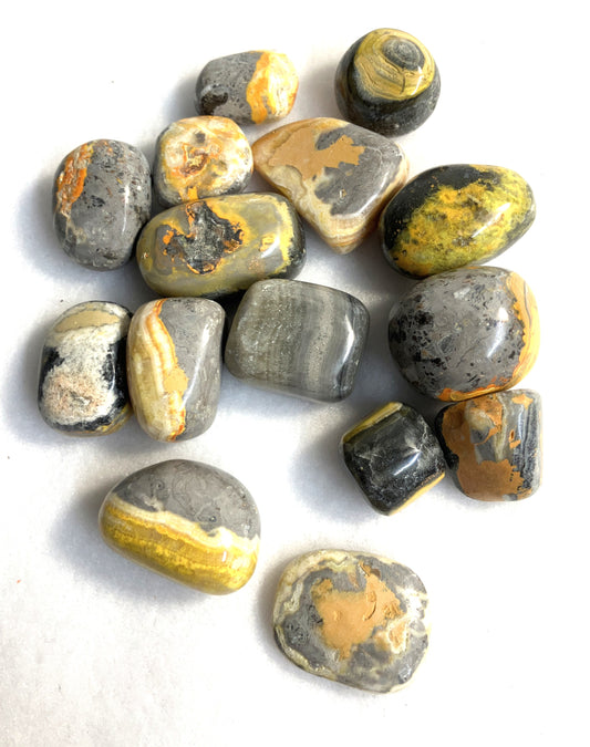 Bumblebee Jasper Tumbled Stone (#29)