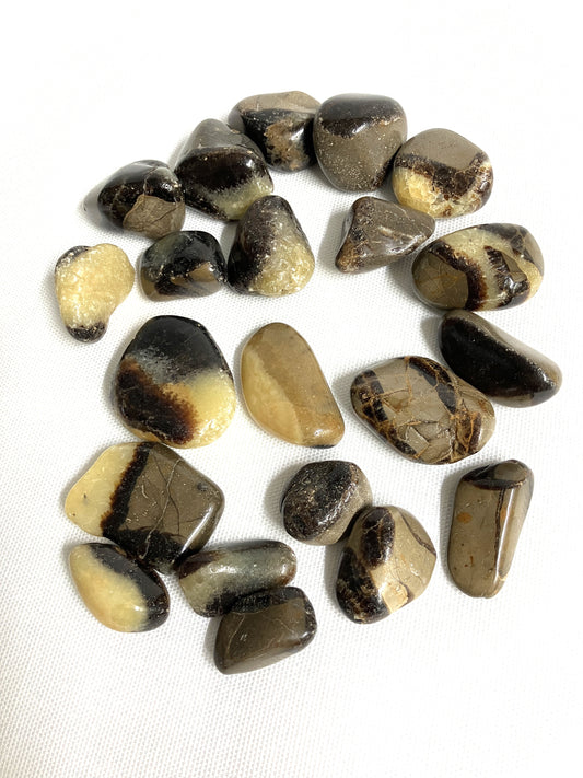 Septarian Tumbled Stone  (#30)