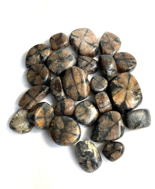 Chiastolite Tumbled Stone (#32)