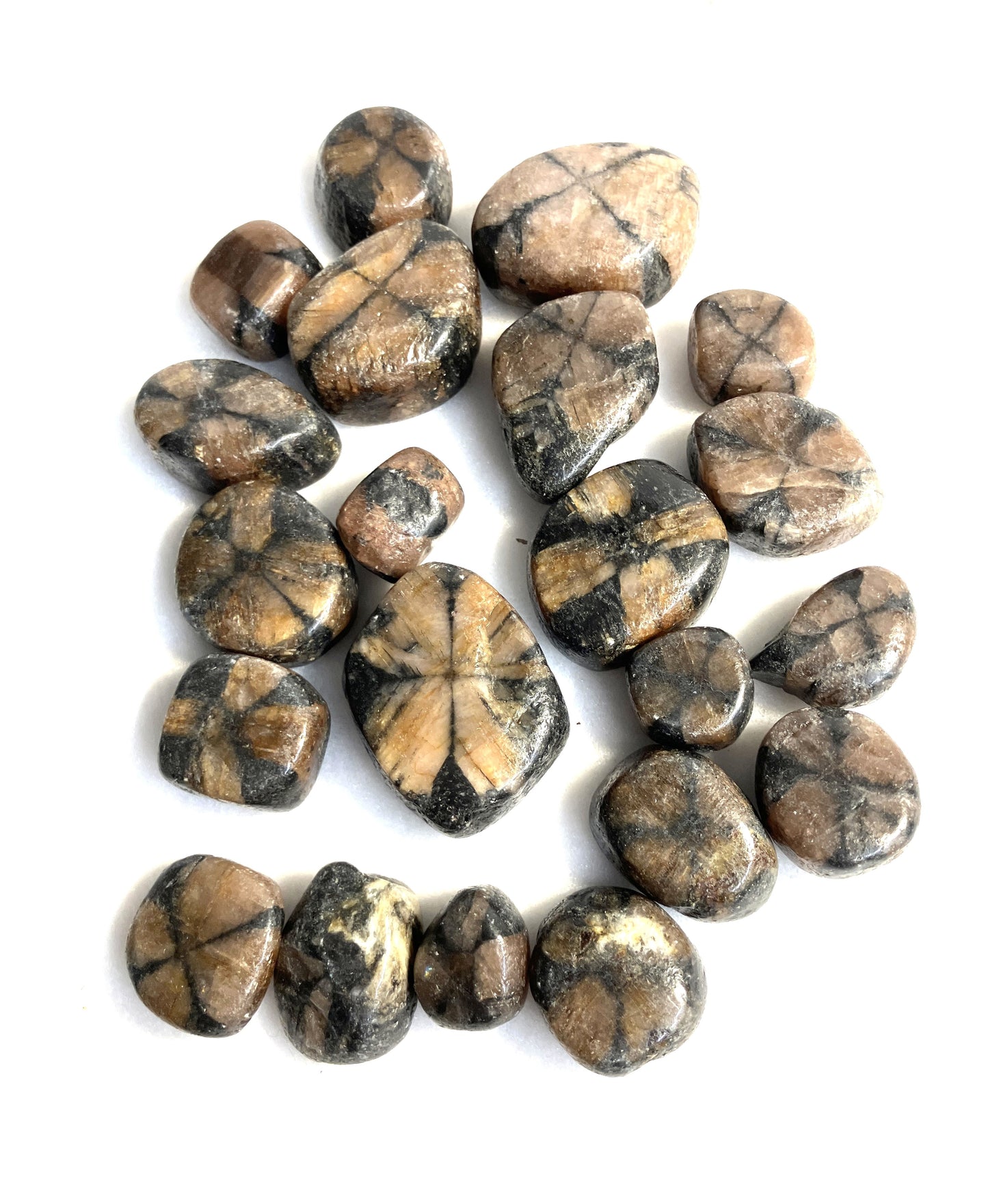 Chiastolite Tumbled Stone (#32)