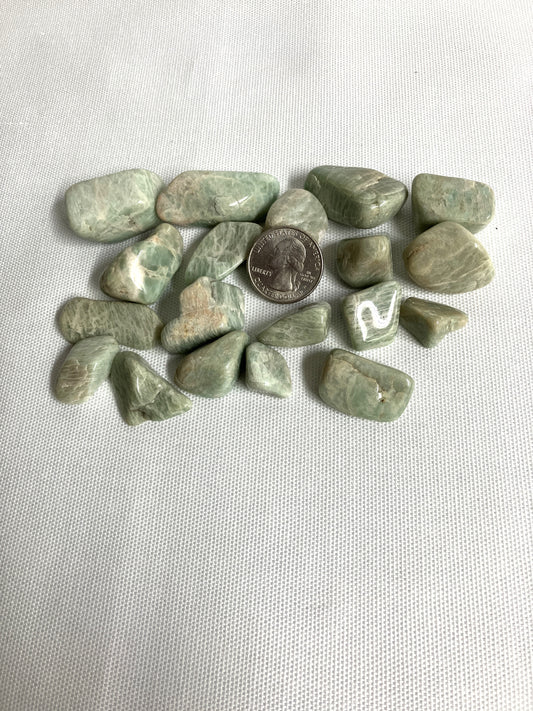 Amazonite Tumbled Stone (#40)