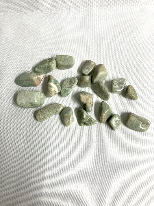Amazonite Tumbled Stone (#40)
