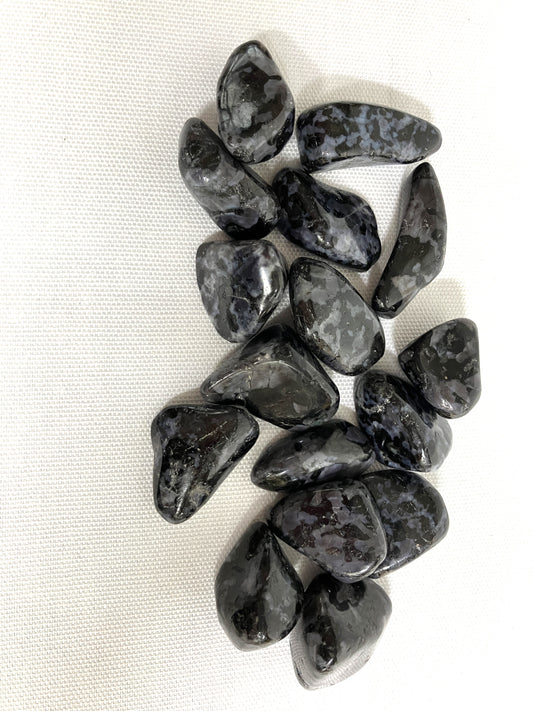 Indigo Gabbro Tumbled Stone (42)