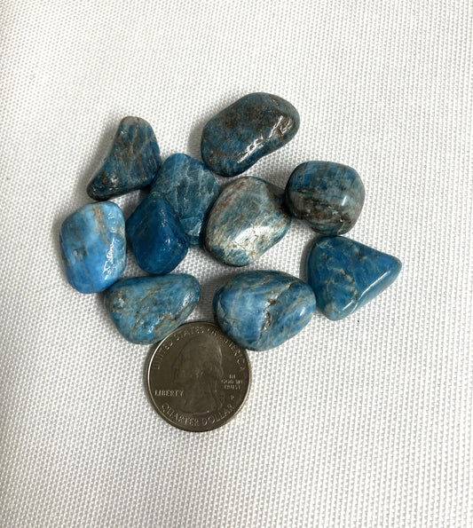 Blue Apatite  Tumbled Stone (#58)
