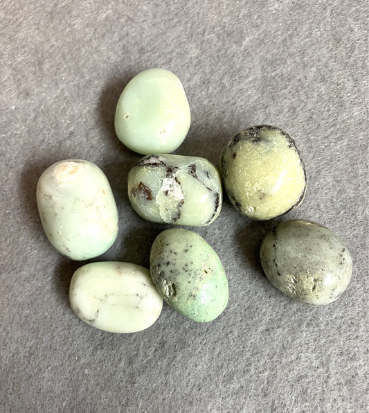 Green Chrysoprase Tumbled Stones  (#63)