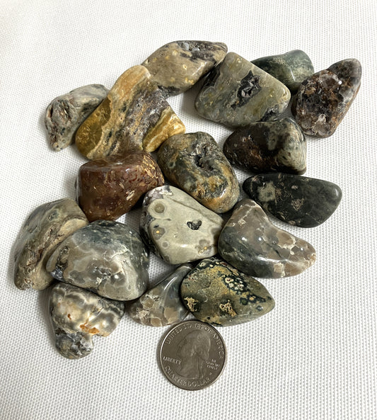 Ocean Jasper Tumbled Stones (#78)