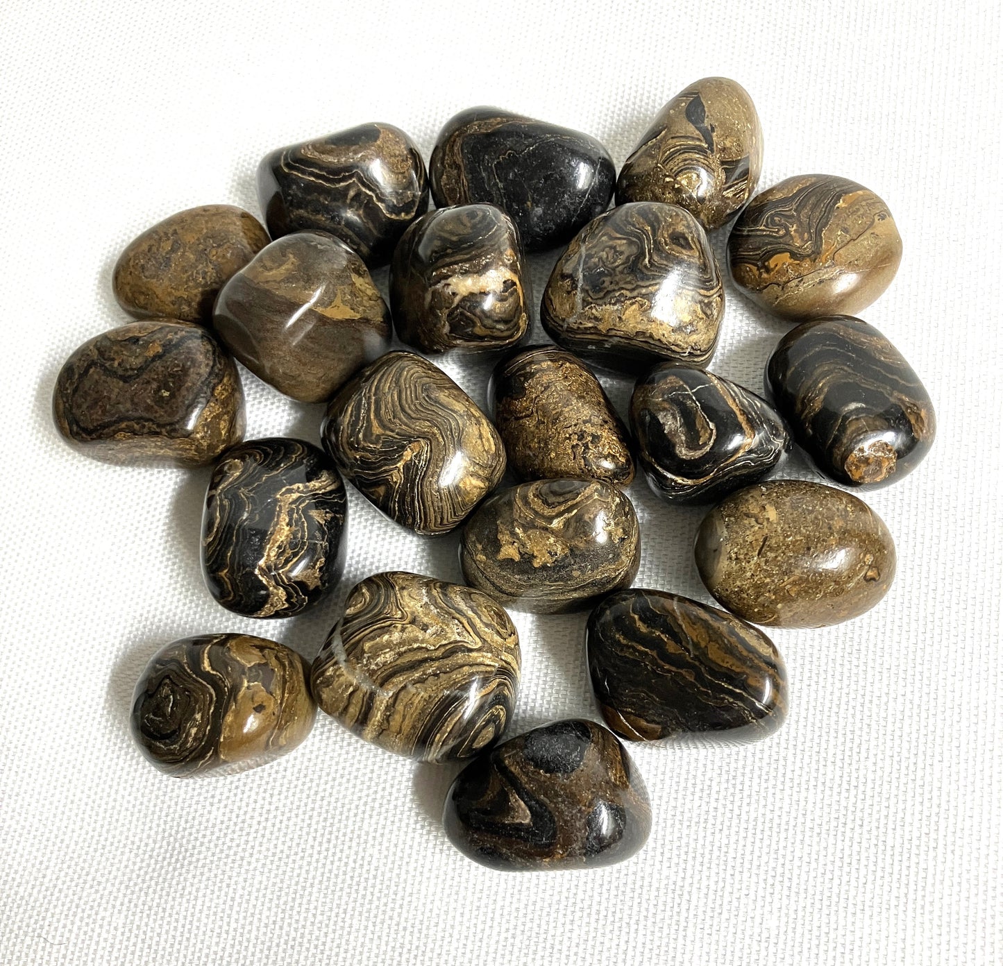 Stromatolite Tumbled Stones  (#79)