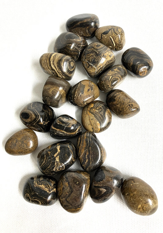Stromatolite Tumbled Stones  (#79)