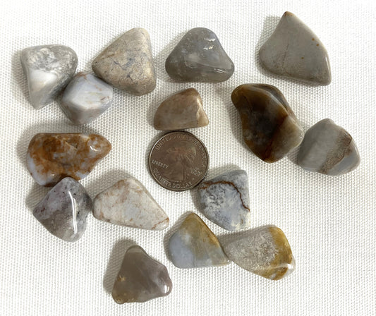 Blue Chalcedony Tumbled Stone (#83)